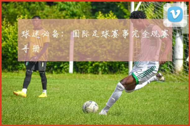 球迷必备:国际足球赛事完全观赛手册