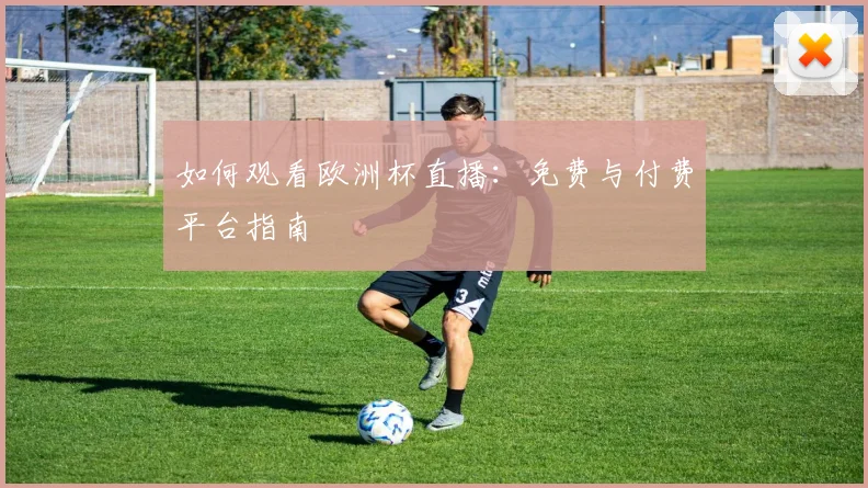 如何观看欧洲杯直播：免费与付费平台指南