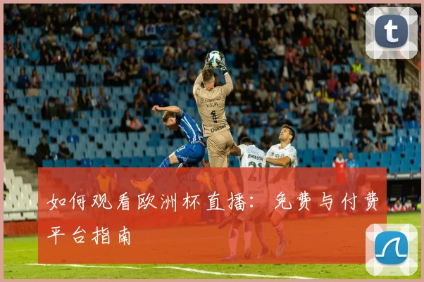 如何观看欧洲杯直播：免费与付费平台指南