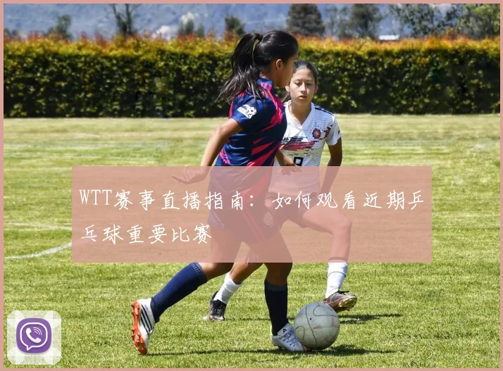 WTT赛事直播指南：如何观看近期乒乓球重要比赛