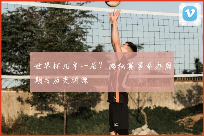 世界杯几年一届?揭秘赛事举办周期与历史渊源